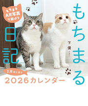 【2026年版・壁掛】 KADOKAWA もちまる日記カレンダー/下僕