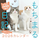 【2026年版・壁掛】　KADOKAWA　もちまる日記カレンダー/下僕