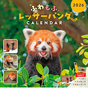 【2026年版・壁掛】 インプレス ふわもふレッサーパンダ 6414