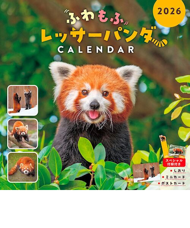 【2026年版・壁掛】　インプレス　ふわもふレッサーパンダ　6414