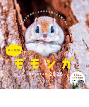 【2026年版・壁掛】 インプレス 森の妖精 モモンガ 6412