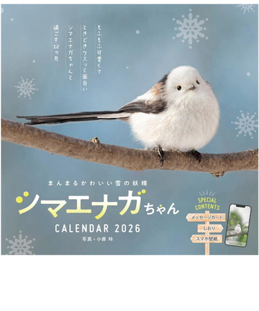 【2026年版・壁掛】　インプレス　まんまるかわいい雪の妖精　シマエナガちゃん　6398