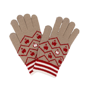 アルタ　タッチテック　2025　フルーツ／リンゴ