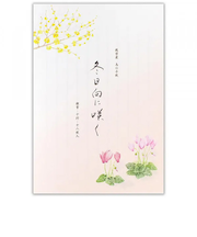 エヌビー社 便箋 冬五集 冬日向に咲く3A 5810270