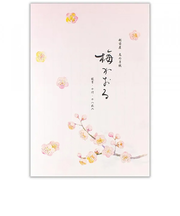 エヌビー社　便箋　冬五集　梅かおる3A　5810269