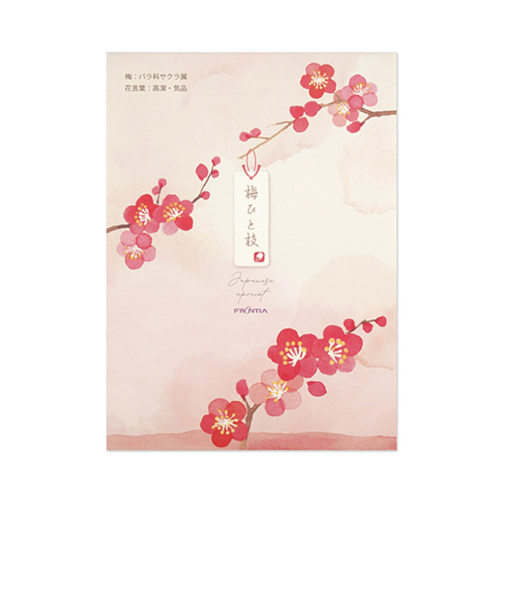 フロンティア　便箋　PD－688　梅ひと枝