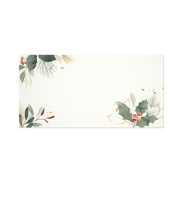 フロンティア　封筒　EV－686　季節のたより