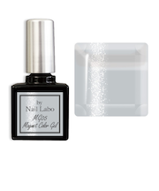 バイネイルラボ(by Nail Labo) マグネットカラージェル MG05 Crystal gray