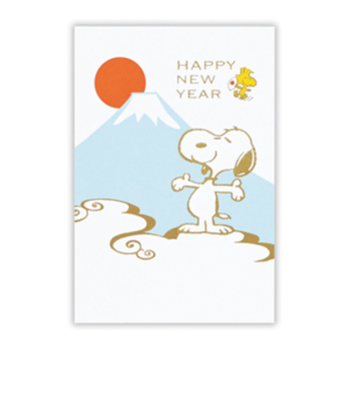 【年賀用品】日本ホールマーク　年賀PSN箔富士と初日2　807948