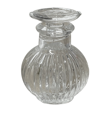 豆正油菊　スキ