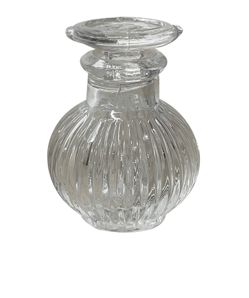 豆正油菊　スキ