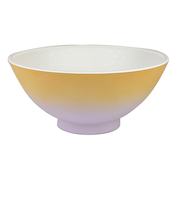 宮本産業 ごはんがくっつきにくい飯椀 淡色ぼかし オレンジ/パープル