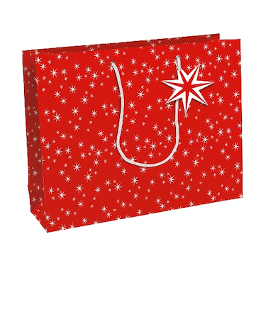 【クリスマス】　クレールフォンテーヌ（Clairefontaine）　ペーパーバッグ　コウジー　L　cfX－32814－6