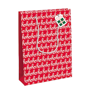 【クリスマス】　クレールフォンテーヌ（Clairefontaine）　ペーパーバッグ　ホーホーホー　M