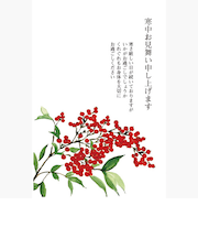 ハンズセレクション　寒中見舞いはがき　私製　PHM－013　4枚入り