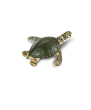 サファリ(safari)　ミニウミガメ　345322