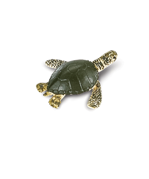 サファリ(safari)　ミニウミガメ　345322