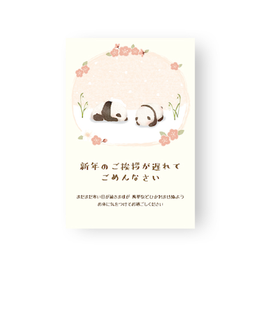 クリエイトジー　ごめんね寒中葉書　ごめんねパンダ柄　CGGKH254　4枚入