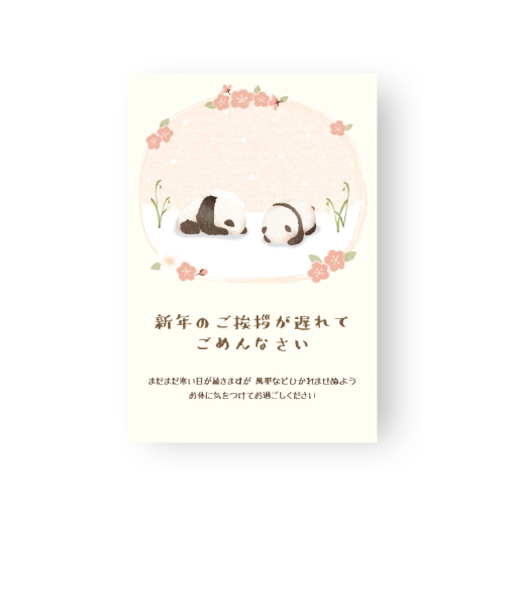 クリエイトジー　ごめんね寒中葉書　ごめんねパンダ柄　CGGKH254　4枚入