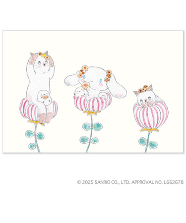 アクティブコーポレーション　トコロコムギ×サンリオ　ポストカード　M01-PPA-237