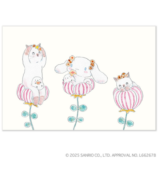 アクティブコーポレーション　トコロコムギ×サンリオ　ポストカード　M01-PPA-237