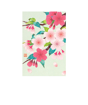 ミドリ（MIDORI）　ポストカード016　800166　桜柄　S2