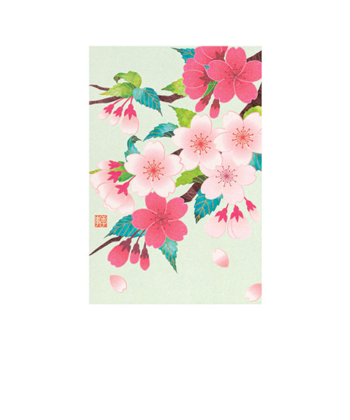 ミドリ（MIDORI）　ポストカード016　800166　桜柄　S2