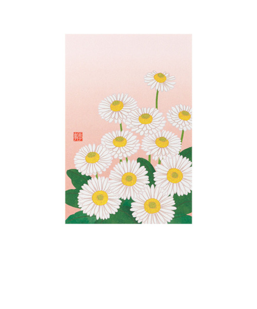ミドリ（MIDORI）　ポストカード020　80020　デイジー柄