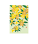 ミドリ（MIDORI）　ポストカード021　800211　ジャスミン柄　黄色