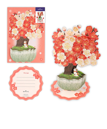ホールマーク（Hallmark）　春柄立体グリーティングカード　814465　梅盆栽2