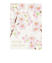 グリーティングライフ（Greeting　Life）　さくら　アニバーサリー　フラワーカード　YZ－376