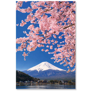 アクティブコーポレーション　さくら　ポストカード　PW－633h