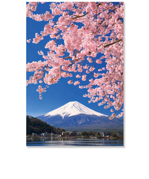 アクティブコーポレーション　さくら　ポストカード　PW－633h