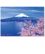 アクティブコーポレーション　さくら　ポストカード　PW－636h