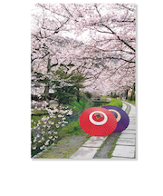 アクティブコーポレーション　春・さくら　ポストカード　PW－660h　和傘