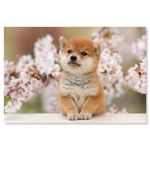 アクティブコーポレーション　春柄　イヌ　ポストカード　PN－599h