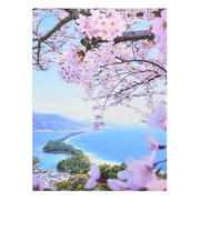 イーズプロダクツ　サクラ　3Dポストカード　PN-1221