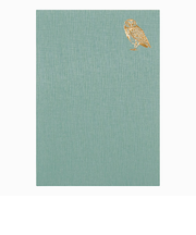 ミドリ（MIDORI）　日記　おやすみA