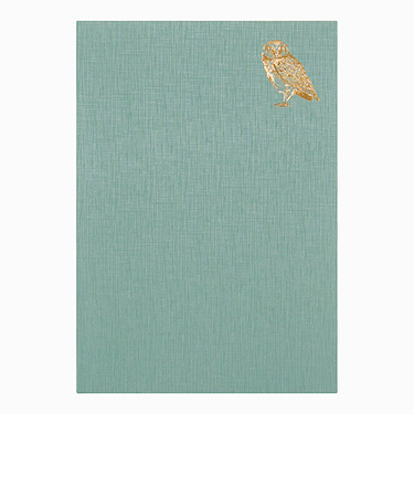 ミドリ（MIDORI）　日記　おやすみA