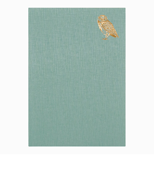 ミドリ（MIDORI）　日記　おやすみA