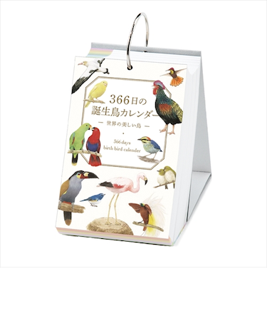 【2025年版・日めくり】いろは出版　366日の誕生鳥カレンダー　－世界の美しい鳥－