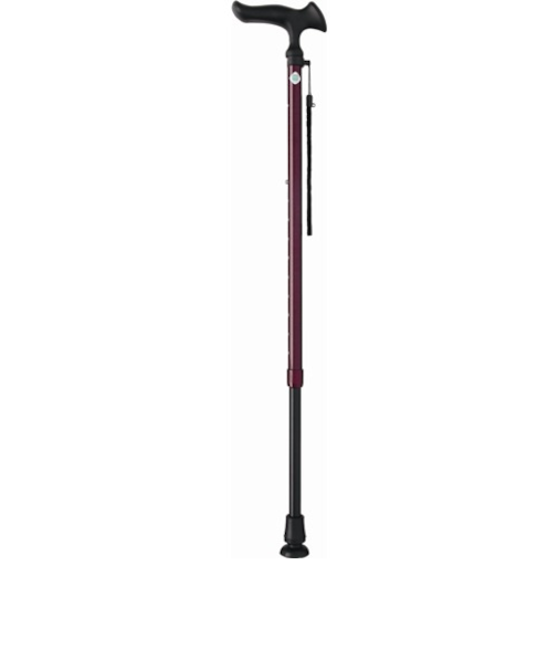 フジホーム　かるがもE　伸縮　WB3738　レッド