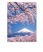 イーズプロダクツ　サクラ3Dポストカード　PN1127