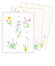 ホールマーク（Hallmark）　レターパッド　ハーブの薫り　2柄10枚入り