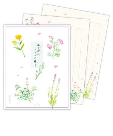 ホールマーク（Hallmark）　レターパッド　ハーブの薫り　2柄10枚入り