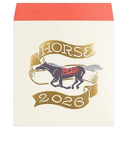 グリーティングライフ　チョークボーイ　干支柄ポチ袋　午　5枚入