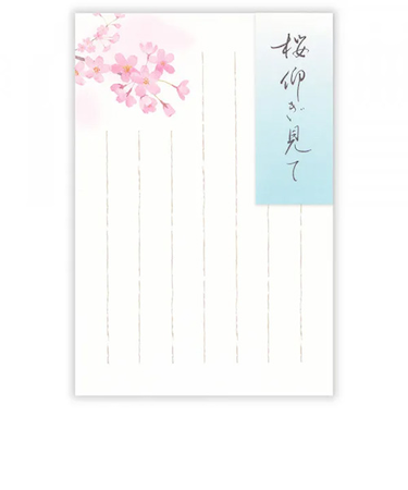 エヌビー社　はがき　春五集　桜仰ぎ見て　5812871