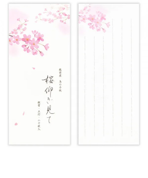 エヌビー社　一筆箋　春五集　桜仰ぎ見て　5817171