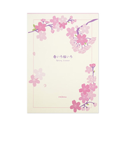 フロンティア　便箋　PD－691　春いろ桜いろ