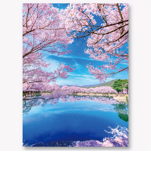 イーズプロダクツ（EASE） サクラ 3Dポストカード PN-1336｜ハンズの